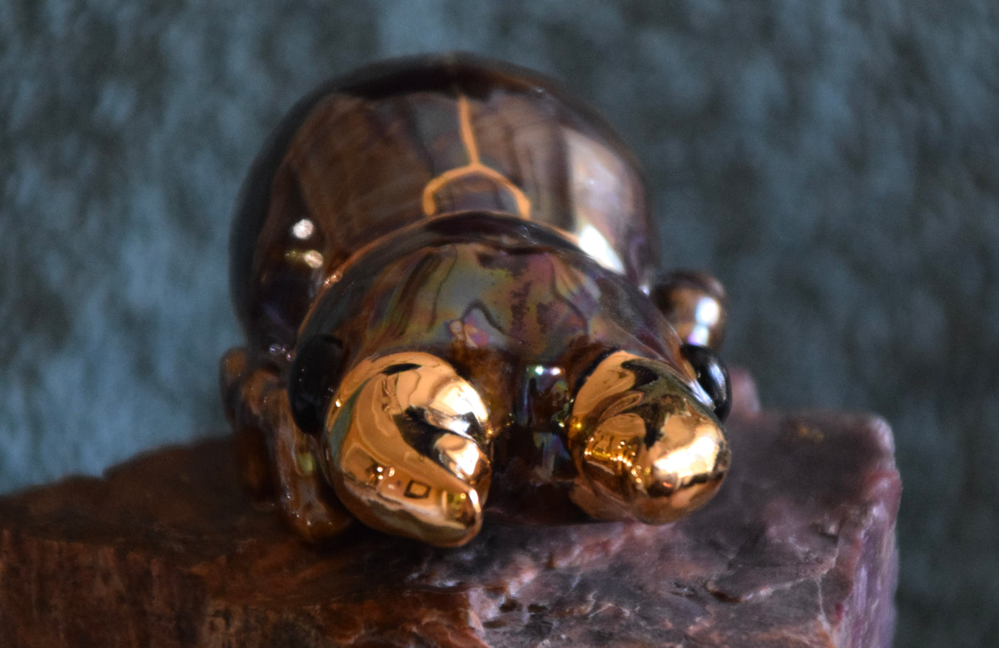 Porcelain Stag Beetle