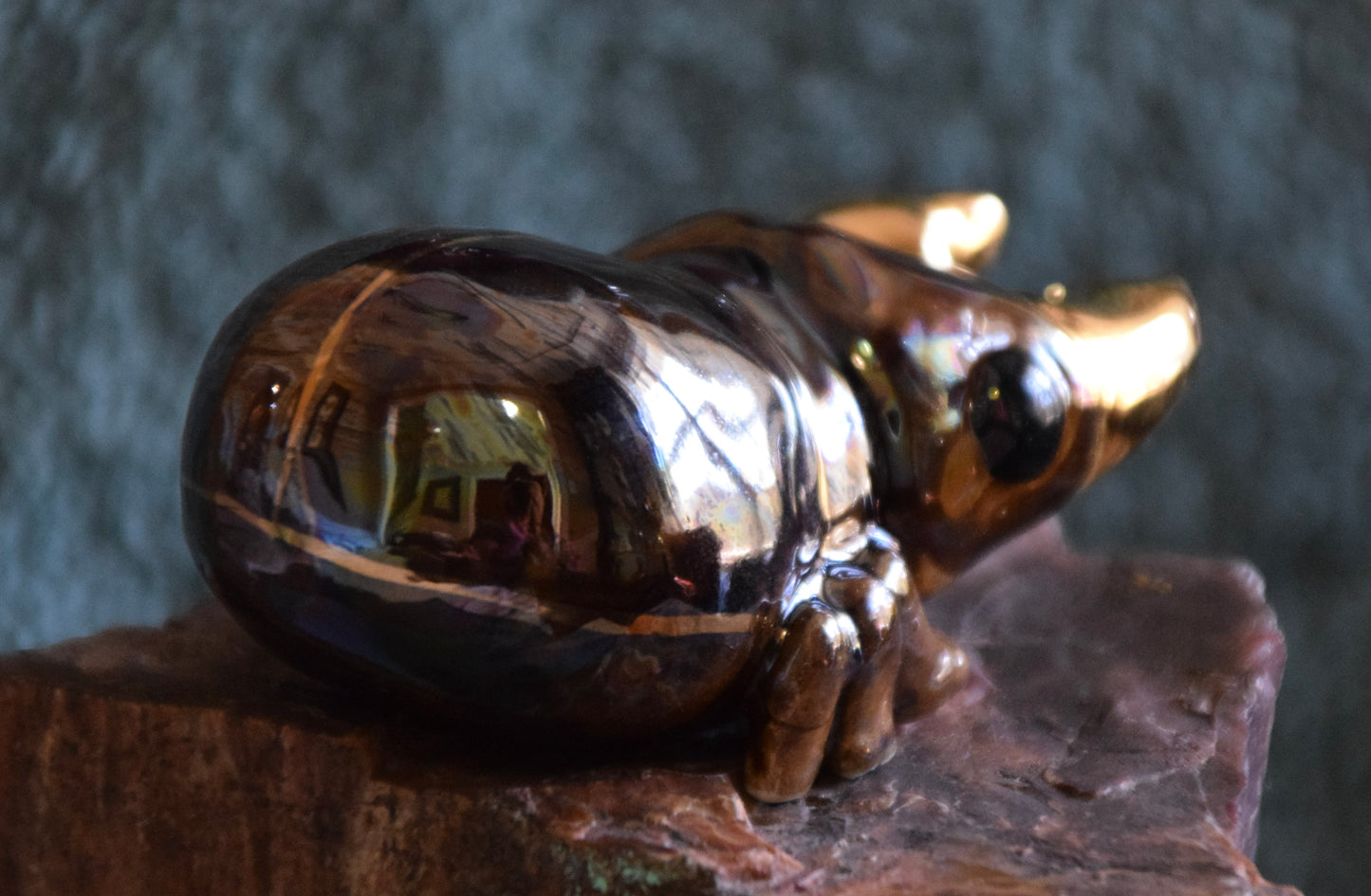 Porcelain Stag Beetle