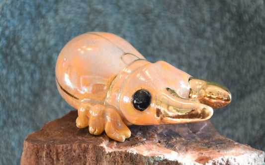 Porcelain Stag Beetle