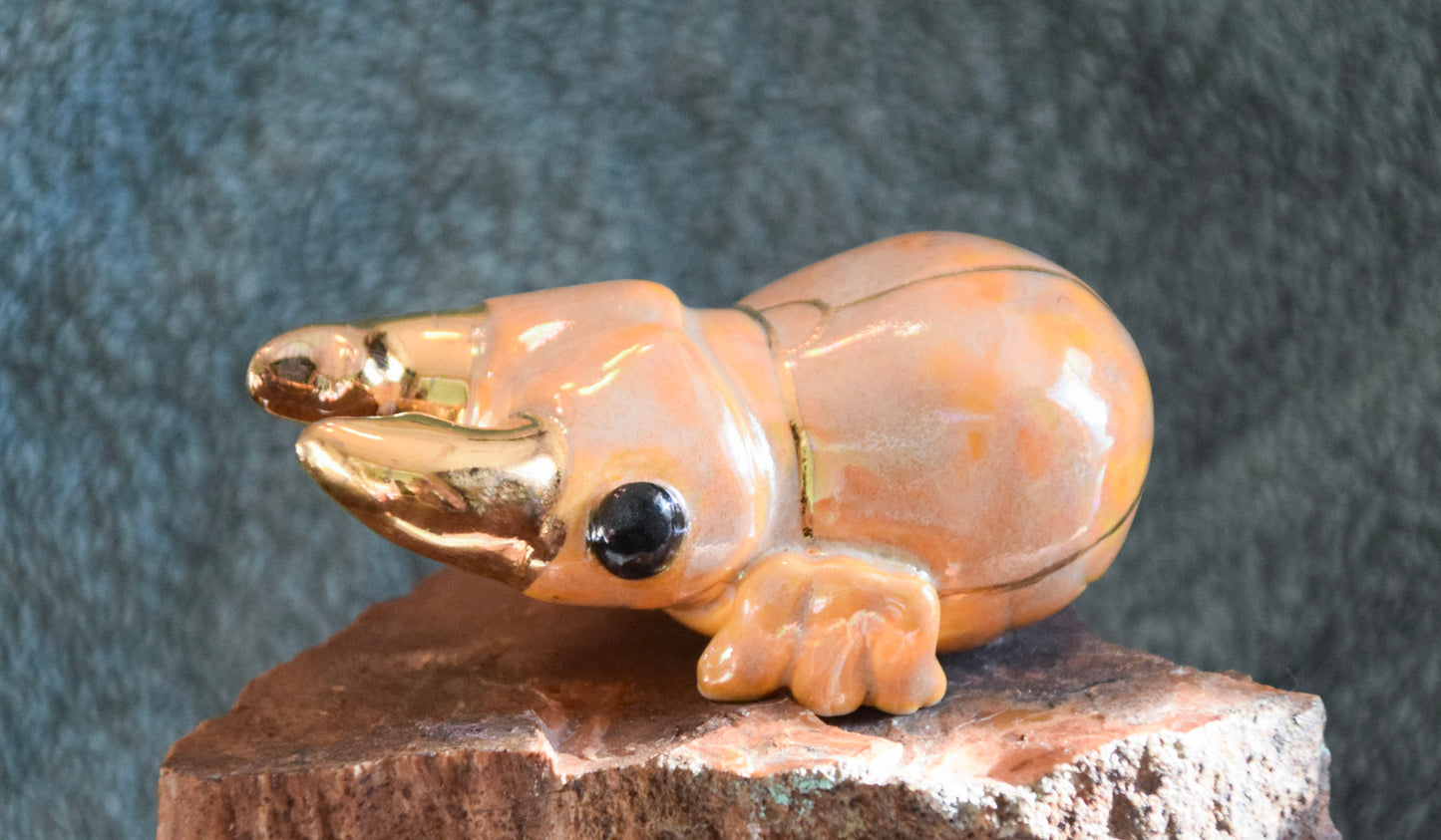 Porcelain Stag Beetle