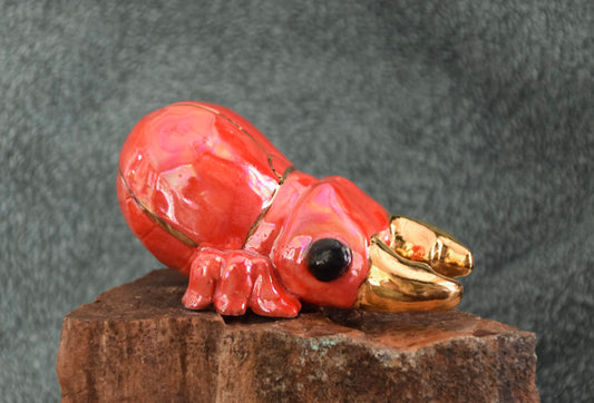 Porcelain Stag Beetle