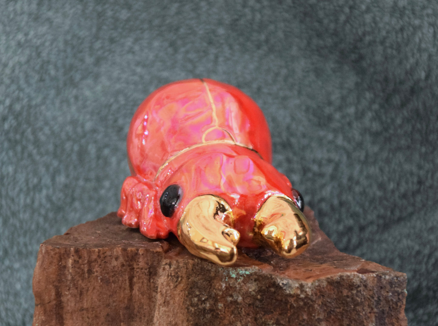 Porcelain Stag Beetle